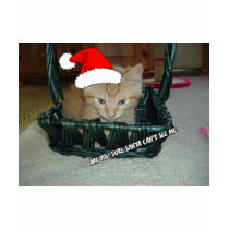 Waiting for Santa t-shirts
