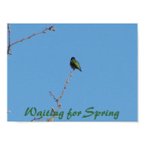 Waiting for Spring Poster posters