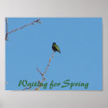 Waiting for Spring Poster