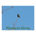 Waiting for Spring Poster posters