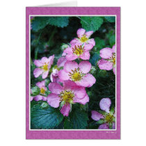 Waiting For Strawberries cards by MDBerry Waiting For Strawberries cards