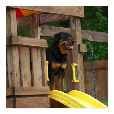 "waiting for the kids to play" print by Sholcroft