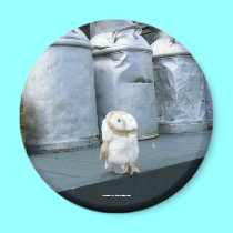 Waiting for the Milk Train magnets by codfishlady Waiting for the Milk Train magnets