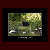 WAITING FOR THE SPAWN Photo Print by RavenSpiritPrints WAITING FOR THE SPAWN Photo Print