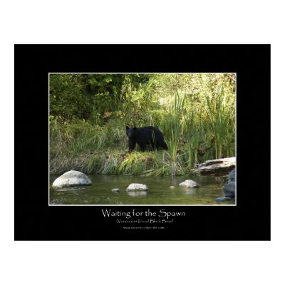 WAITING FOR THE SPAWN Photo Print by RavenSpiritPrints