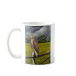Waiting for the Storm - Red tail Hawk Mugs