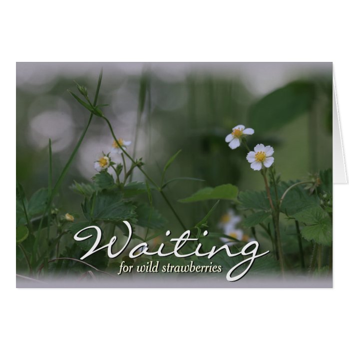 Waiting for wild strawberries CC0479 Greeting Card