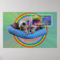 Waiting for you at Rainbow Bridge Posters