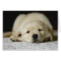 Waiting for you cards by Minou1 Waiting for you cards