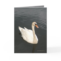 Waiting for You cards by MoiraAshleigh Waiting for You cards