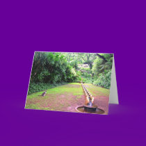 Waiting - Kauai Garden cards