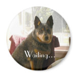 Waiting... magnets
