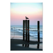 Waiting On Sunset Photo Print