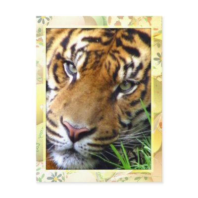 Waiting on you/Missing you_ Postcard by ELENNE