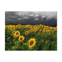 Waiting,postcards by GinaSignore Waiting,postcards