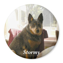 Waiting..., Stormy magnets
