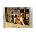 'Waiting to Run'  Beagle Print