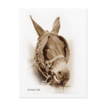 Waiting to Work postcards by StarLily Waiting to Work postcards
