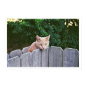 WaitingCat posters by MattLeg WaitingCat posters