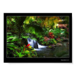 disney, hotel, polynesian, waterfalls