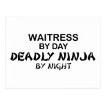Waitress Deadly Ninja by Night Postcard