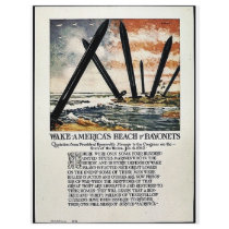 Wake Americas Beach Of Bayonets flyers