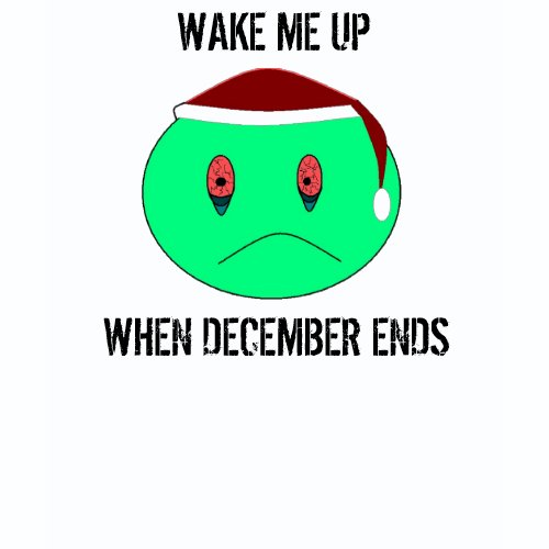 WAKE ME UP WHEN DECEMBER ENDS shirt