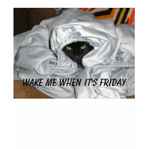 Wake Me When It's Friday - T-shirt by RozSmith Wake Me When It's Friday - T-shirt