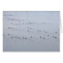 Wake of Swimming Geese Card