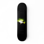 Wake Skate and Ski Skateboards