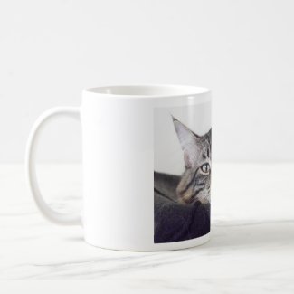 Wake Up Kitty Cup mug