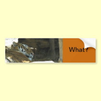 Wake Up Tiger bumper stickers
