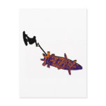 Wakeboard All Bomber postcards