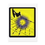 Wakeboard Flip Back postcards