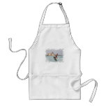 Wakeboard Jump Apron