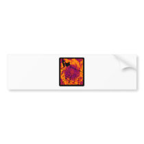 Wakeboard Sonic Air Bumper Stickers