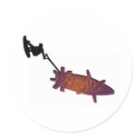 Wakeboard The Count stickers