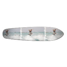 Wakeboarder Skateboard