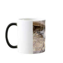 wakey-wakey!!! mugs