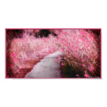 Waking Dream posters