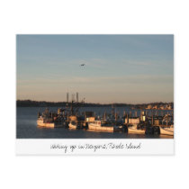  Waking up in Newport, Rhode Island Post Card