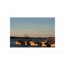 Waking up in Newport Rhode Island posters