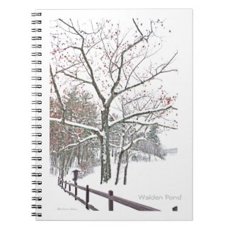 Walden Pond: A touch of Winter Note Book