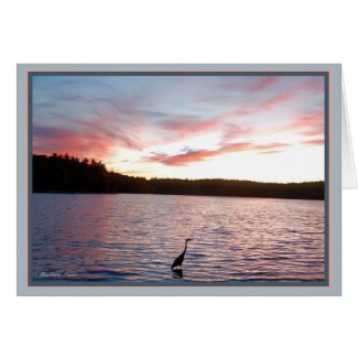 Walden Pond: Heron Card