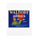 Waldorf Apples postcards