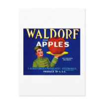 Waldorf Apples postcards by AllVintage Waldorf Apples postcards