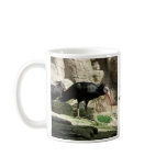 Waldrapp ibis Black Feathered Bird Mug