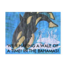 WALE OF A TIME! postcards