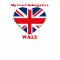 Wale t-shirts