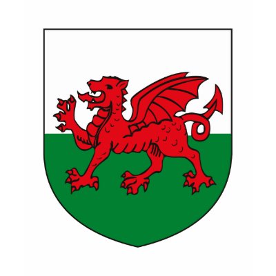 Wales Coat of Arms T-shirt by FlagTshirts